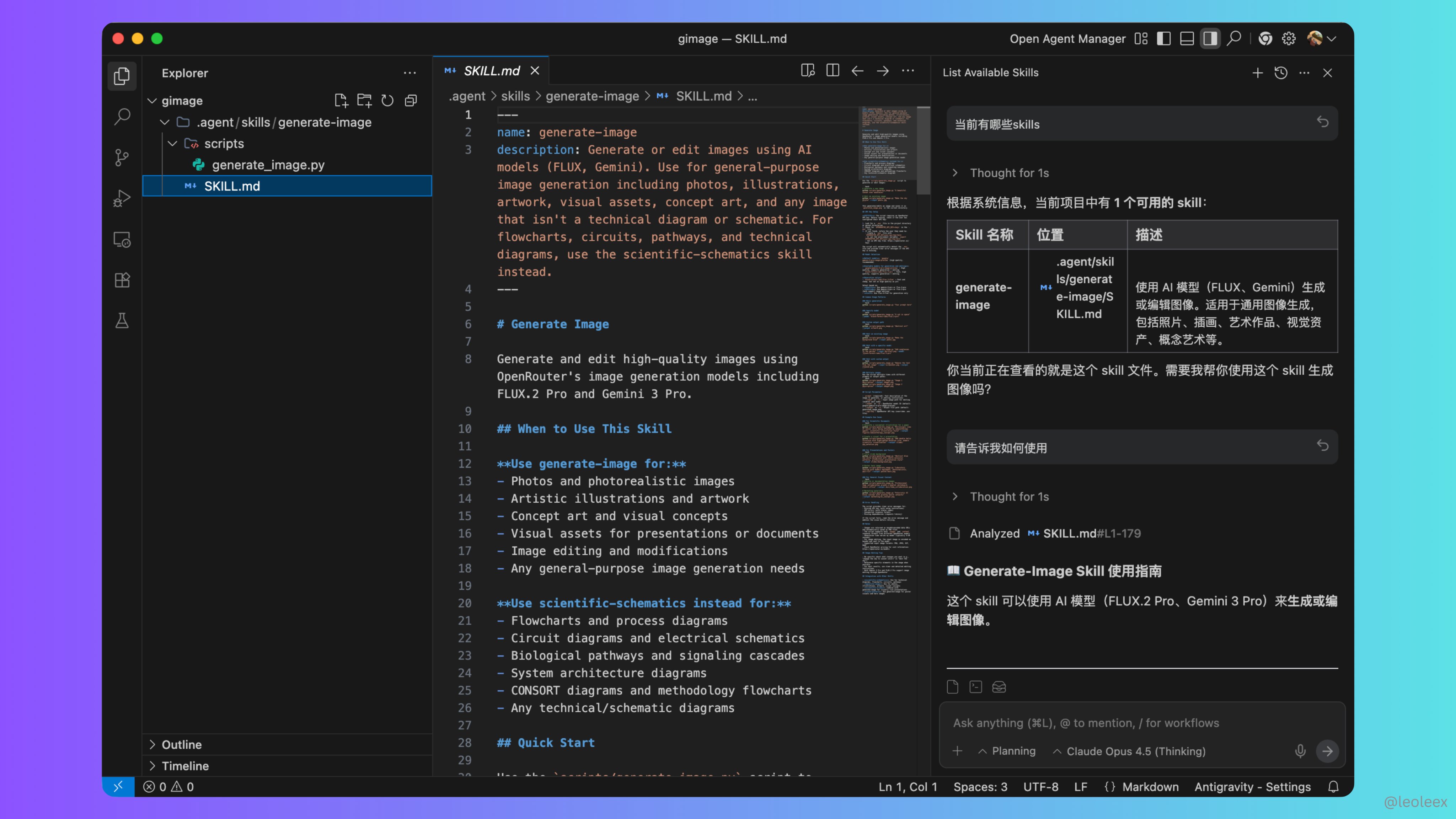 项目目录中的 Skills